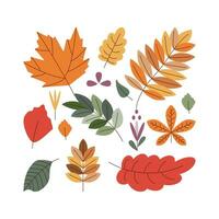 hoja. Hola otoño. otoño temporada elemento, icono. vector