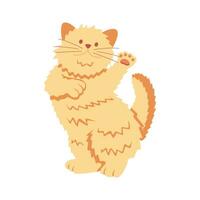 Cute funny ginger kitten plays alone vector