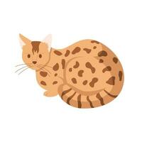 Adorable cat resting with opened eyes. vector