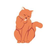 Cute cat licks paw isolated on white background. vector