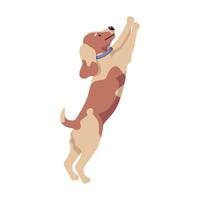 Cute spotted little dog stands on its hind legs and asks for smth. vector