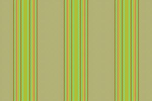 Texture pattern seamless of lines stripe vertical with a textile background vector fabric.
