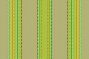 Texture pattern seamless of lines stripe vertical with a textile background vector fabric.