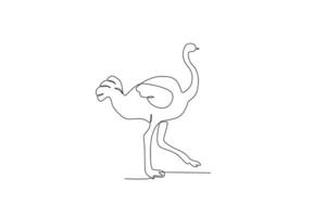 An ostrich walking vector