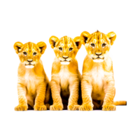 leones familia ai generativo png