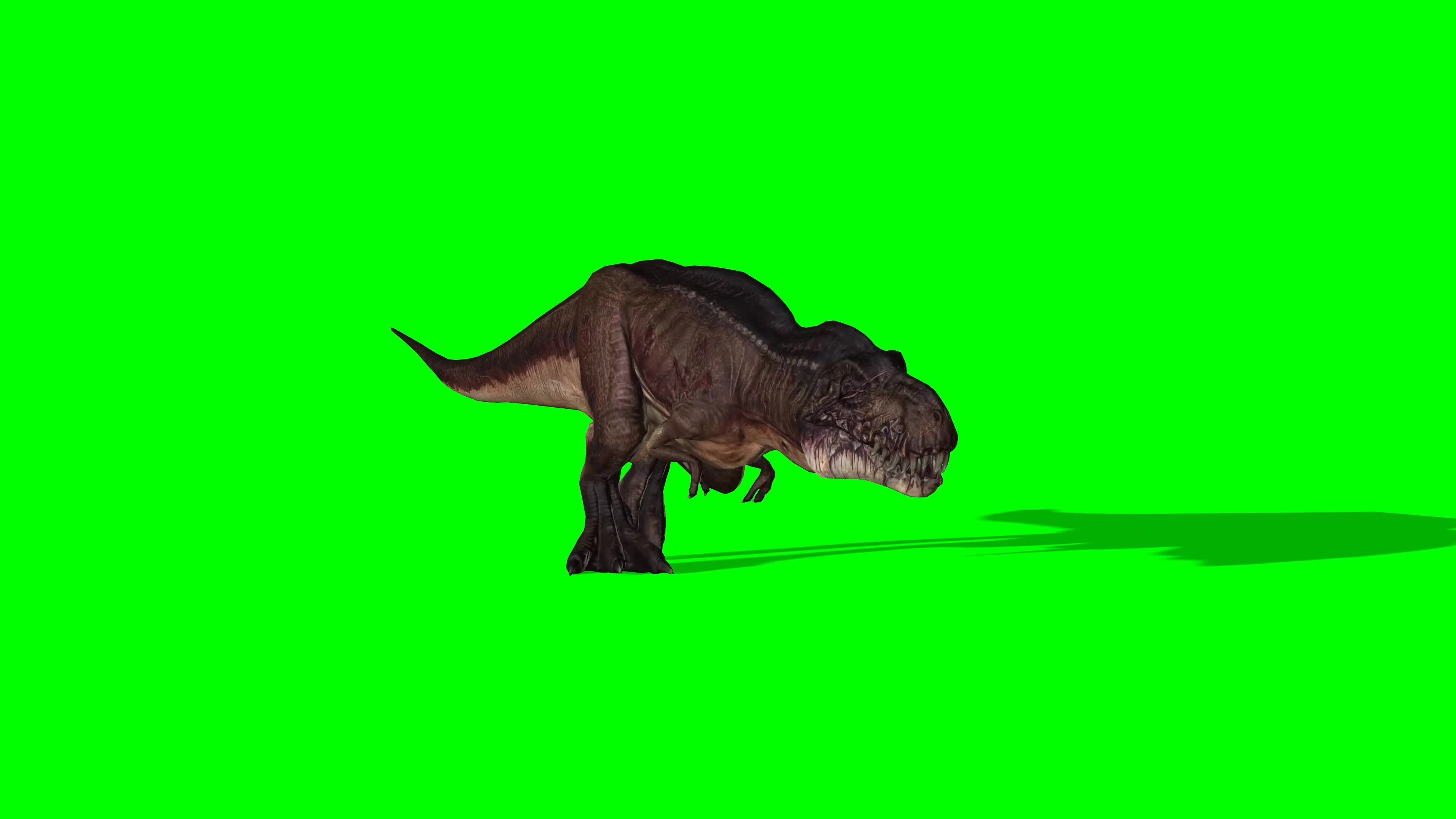 animate a running dinosaur Tyrannosaurus, Stock Video