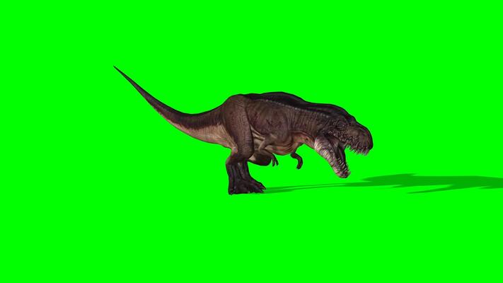 Tyrannosaurus T-Rex Run Green Screen 3D , Stock Video