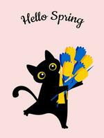 Hello Spring. Black funny cat with yellow and blue tulips. Cute holiday vertical illustration with pink background. Vector. vector