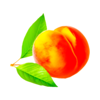 apricot food fruit ai generative png