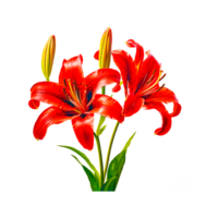 Lily Watercolor Clipart ai generative png