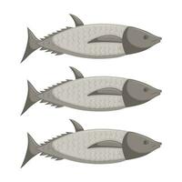 Gray sea and river fish. Simple vector illustration. Three fish isolated on white background.