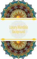 Mandala Design for business template vector