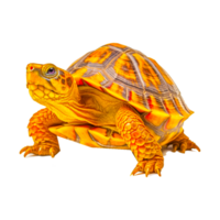 Russisch schildpad reptielen ai generatief png