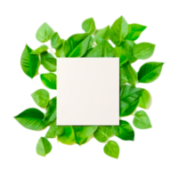 Grün Blätter mit Tropfen Rahmen Vorlage ai generativ png