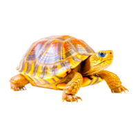 africain éperonné tortue ai génératif png