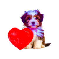 havanese Hund Rasse ai generativ png