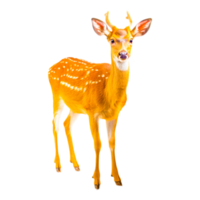 Formosan sika deer ai generative png