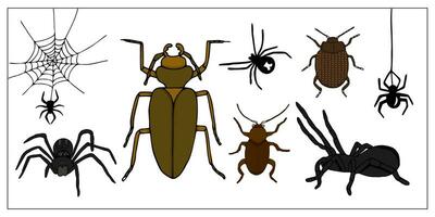 Beetles and spiders. Set of hand-drawn doodle illustration of insects. Scary and realistic colored bugs and spiders. Halloween decoration. vector