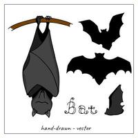 Hand-drawn colorful bats. Collection of vector doodle bats. Decoration for Halloween.