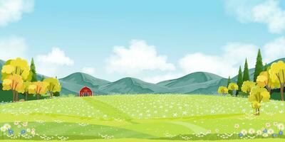 primavera fondo, montaña paisaje con flores campo, azul cielo y nubes,panorama verano rural naturaleza en con verde césped tierra en colina.dibujos animados vector ilustración fondo para naturaleza bandera