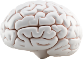 Brain png with AI generated.