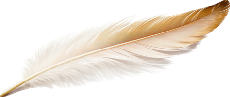 Feather png with AI generated.