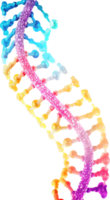 Dna png with AI generated.