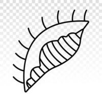 Seashells or sea snail line art vector icon for apps and websites