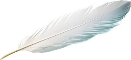 Feather png with AI generated.