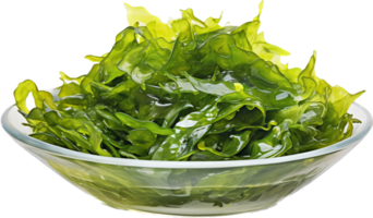 Seaweed png with AI generated.