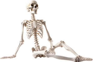 Skeleton png with AI generated.