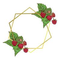 Golden frame with raspberry branches. Vector illustration of a frame with berries. Design element for greeting cards, invitation, summer banners, food labels.