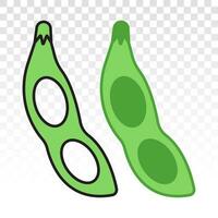 Soybean or soya beans flat colours icon for food apps and websites vector