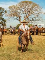 aporo, goiás, Brasil - 05 07 2023 lado de caballo montando evento abierto a el público foto