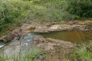 stream with rocks in nature photo