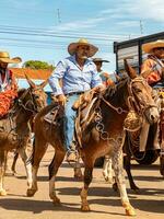 aporo, goiás, Brasil - 05 07 2023 lado de caballo montando evento abierto a el público foto