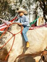 aporo, goiás, Brasil - 05 07 2023 lado de caballo montando evento abierto a el público foto