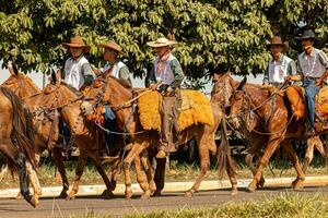 Apore, Goias, Brazil - 05 07 2023 Horseback riding event open to the public photo