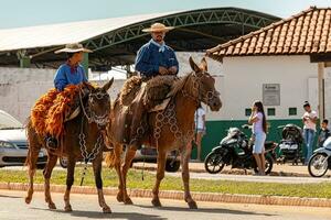 aporo, goiás, Brasil - 05 07 2023 lado de caballo montando evento abierto a el público foto