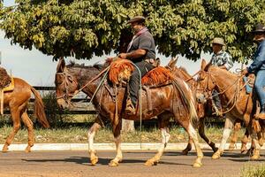 aporo, goiás, Brasil - 05 07 2023 lado de caballo montando evento abierto a el público foto