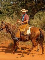 aporo, goiás, Brasil - 05 07 2023 lado de caballo montando evento abierto a el público foto