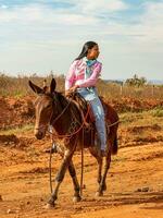 aporo, goiás, Brasil - 05 07 2023 lado de caballo montando evento abierto a el público foto