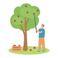 Man harvesting apple tree vector