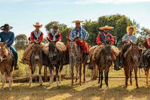 aporo, goiás, Brasil - 05 07 2023 lado de caballo montando evento abierto a el público foto