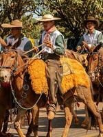 Apore, Goias, Brazil - 05 07 2023 Horseback riding event open to the public photo