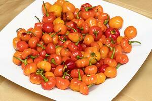 Set of collected pepper berries photo