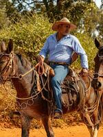 aporo, goiás, Brasil - 05 07 2023 lado de caballo montando evento abierto a el público foto