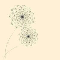 Summer floral background of stylized dandelions. For the design of postcards, brochures, flyers. vector