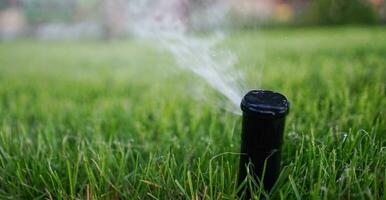 Water sprinkler in the garden. Irrigation sprinkler. Watering plants. photo