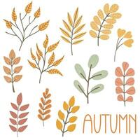 Set of autumn twigs with leaves. Hand drawn elements for autumn decorative design vector